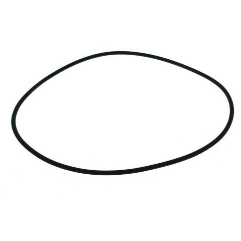 EHEIM oring wewnętrzny gruszki zawieszenia (7209620) EHEIM oring wewnętrzny gruszki zawieszenia (7209620)