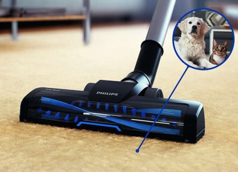 Philips | Odkurzacz | PowerPro Active FC9556/09 | Bezworkowy | Moc 900 W | Pojemność na kurz 1,5 L | Niebieski Philips | Odkurzacz | PowerPro Active FC9556/09 | Bezworkowy | Moc 900 W | Pojemność na kurz 1,5 L | Niebieski