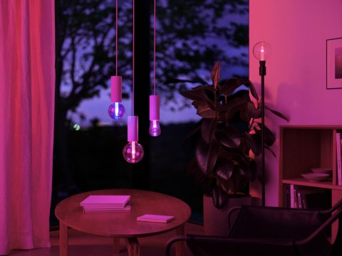 Philips Hue WCA Lightguide G95 E27 | Philips Hue Philips Hue WCA Lightguide G95 E27 | Philips Hue