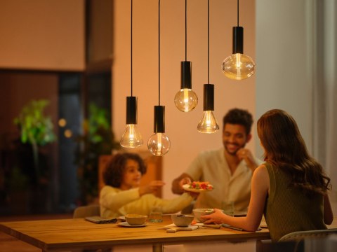 Philips Hue WCA Lightguide G95 E27 | Philips Hue Philips Hue WCA Lightguide G95 E27 | Philips Hue