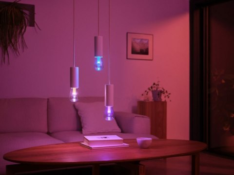 Philips Hue WCA Lightguide ST72 E27 | Philips Hue Philips Hue WCA Lightguide ST72 E27 | Philips Hue