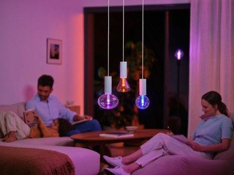 Philips Hue WCA Lightguide Triangle E27 | Philips Hue Philips Hue WCA Lightguide Triangle E27 | Philips Hue