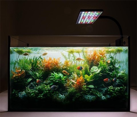 Lampa AquaLED Plant color 17W Lampa AquaLED Plant color 17W