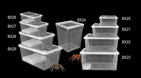Pojemnik hodowlany BREEDING BOX 21 cm Pojemnik hodowlany BREEDING BOX 21 cm