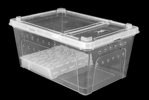 Pojemnik hodowlany BREEDING BOX z platformą 32 cm Pojemnik hodowlany BREEDING BOX z platformą 32 cm