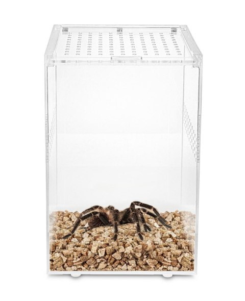 Terrarium akrylowe 15 cm Terrarium akrylowe 15 cm