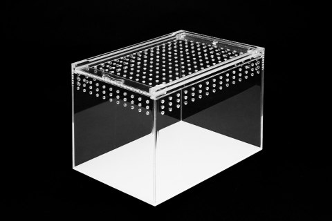 Terrarium akrylowe 20 cm Terrarium akrylowe 20 cm