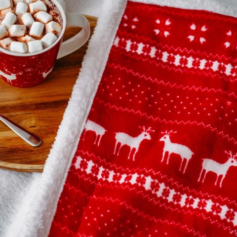 Camry | Electric Heating Throw-Blanket with Timer | CR 7441 | Number of heating levels 10 | Number of persons 1 | Remote control Camry | Electric Heating Throw-Blanket with Timer | CR 7441 | Number of heating levels 10 | Number of persons 1 | Remote control