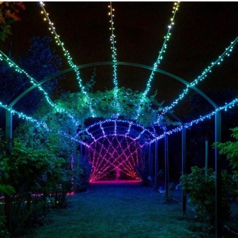 Twinkly|Strings Smart LED Lights 100 RGB (Multicolor), 8m, czarny przewód|RGB - 16M+ kolorów Twinkly|Strings Smart LED Lights 100 RGB (Multicolor), 8m, czarny przewód|RGB - 16M+ kolorów
