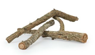 Korek gałąź 60cm