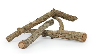 Korek gałąź 30cm