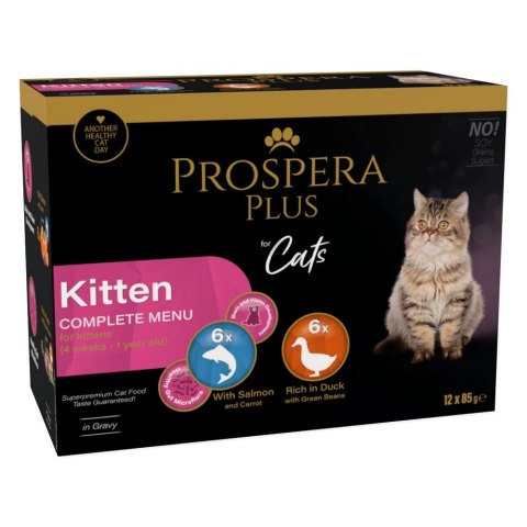 PROSPERA Plus Saszetka dla kociąt, 12x 85g (1513-10110) PROSPERA Plus Saszetka dla kociąt, 12x 85g (1513-10110)
