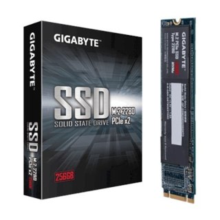 Gigabyte | Dysk półprzewodnikowy | 256 GB | M.2 | PCIe 3.0 x4 (NVMe)