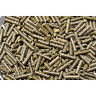 DENNERLE Pokarm białkowy dla krewetek Shrimp King Protein (6072) DENNERLE