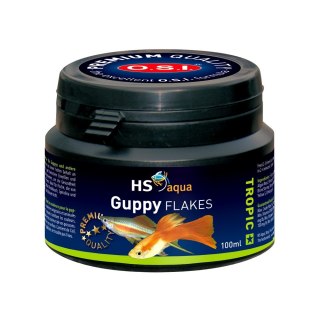 HS AQUA GUPPY FLAKES 100 ML pokarm dla ryb (0030290) HS AQUA