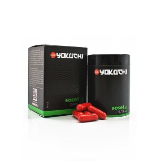 YOKUCHI SOSEI CAPS Kapsułki nawozowe do podłoża 80szt (60506) YOKUCHI