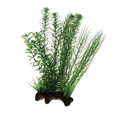 HOBBY Sztuczna roślina akwariowa Flora Root 2, rozmiar L, 30 cm (51596) HOBBY HOBBY Sztuczna roślina akwariowa Flora Root 2, rozmiar L, 30 cm (51596) HOBBY
