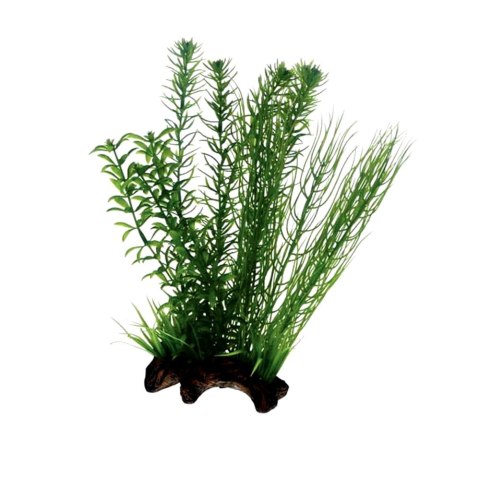 HOBBY Sztuczna roślina akwariowa Flora Root 2, rozmiar L, 30 cm (51596) HOBBY HOBBY Sztuczna roślina akwariowa Flora Root 2, rozmiar L, 30 cm (51596) HOBBY