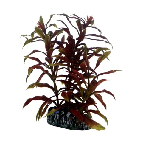 HOBBY Sztuczna roślina akwariowa Nesaea, 13 cm (51570) HOBBY HOBBY Sztuczna roślina akwariowa Nesaea, 13 cm (51570) HOBBY