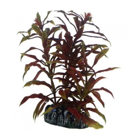 HOBBY Sztuczna roślina akwariowa Nesaea, 13 cm (51570) HOBBY HOBBY Sztuczna roślina akwariowa Nesaea, 13 cm (51570) HOBBY