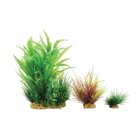 ZOLUX Dekoracja roślinna PLANTKIT WIHA model 2 (352141) ZOLUX Dekoracja roślinna PLANTKIT WIHA model 2 (352141)