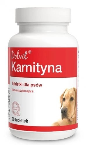Dolfos Dolvit Karnityna 90 Tabletek Dolfos