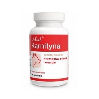 Dolfos Dolvit Karnityna 90 Tabletek Dolfos