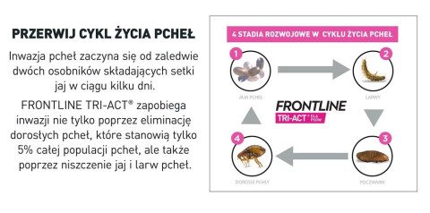 FRONTLINE Tri-Act Dla Psów 3x6ml Frontline (Boehringer Ingelheim) FRONTLINE Tri-Act Dla Psów 3x6ml Frontline (Boehringer Ingelheim)