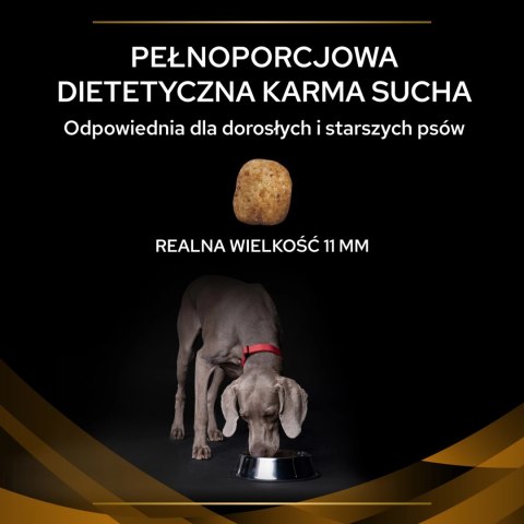 PURINA Pro Plan Veterinary Diets NF Renal Function 12kg PRO PLAN Veterinary Diets PURINA Pro Plan Veterinary Diets NF Renal Function 12kg PRO PLAN Veterinary Diets