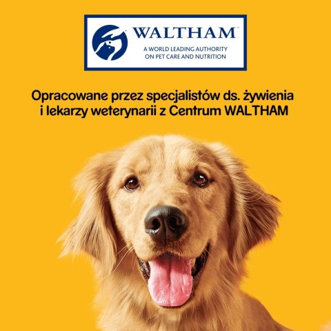 Pedigree Jumbone Przysmak Dla Dorosłych Psów Średniej Wielkości Z Wołowiną 180g Pedigree Pedigree Jumbone Przysmak Dla Dorosłych Psów Średniej Wielkości Z Wołowiną 180g Pedigree