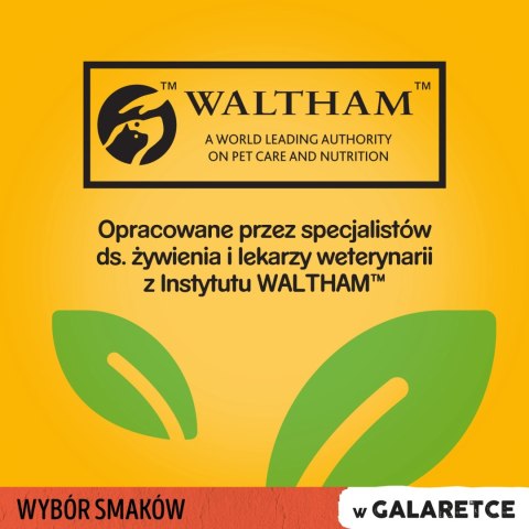 Pedigree Mokra Karma Dla Dorosłych Psów W Galaretce (Z Wołowiną, Z Drobiem) 4x100g Pedigree Pedigree Mokra Karma Dla Dorosłych Psów W Galaretce (Z Wołowiną, Z Drobiem) 4x100g Pedigree