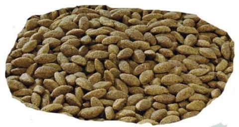 Purina Pro Plan Medium & Large 7+ Sensitive Optiderma Łosoś I Ryż 14kg Purina Pro Plan Purina Pro Plan Medium & Large 7+ Sensitive Optiderma Łosoś I Ryż 14kg Purina Pro Plan