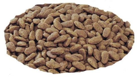 Purina Pro Plan Small & Mini Adult Sensitive Optiderma Łosoś I Ryż 7kg Purina Pro Plan Purina Pro Plan Small & Mini Adult Sensitive Optiderma Łosoś I Ryż 7kg Purina Pro Plan