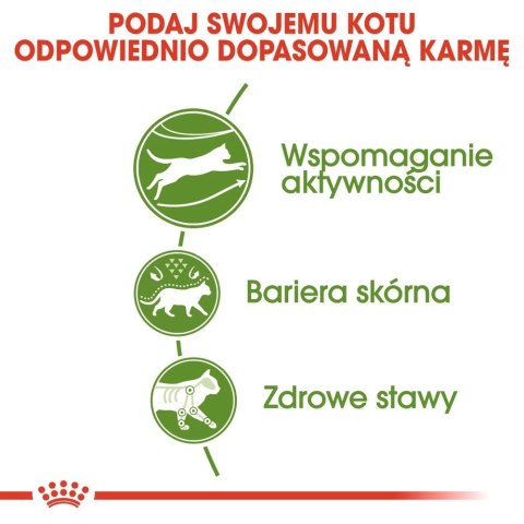 ROYAL CANIN Outdoor 400g Royal Canin ROYAL CANIN Outdoor 400g Royal Canin