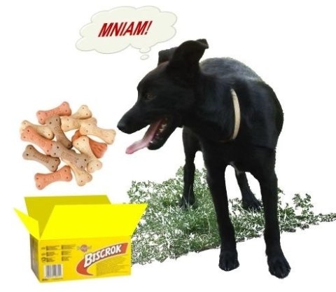 Pedigree Biscrok Ciasteczka Dla Dorosłych Psów W Kształcie Kostek Z Jagnięciną, Kurczakiem I Wołowiną 500g Pedigree Pedigree Biscrok Ciasteczka Dla Dorosłych Psów W Kształcie Kostek Z Jagnięciną, Kurczakiem I Wołowiną 500g Pedigree