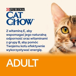 Purina Cat Chow Adult Chicken And Rice 15kg Purina Cat Chow