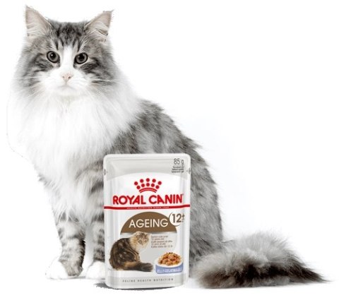 ROYAL CANIN Ageing +12 Gelee 12x85g Royal Canin ROYAL CANIN Ageing +12 Gelee 12x85g Royal Canin
