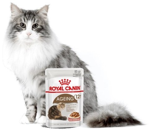 ROYAL CANIN Ageing +12 Sauce 12x85g Royal Canin ROYAL CANIN Ageing +12 Sauce 12x85g Royal Canin