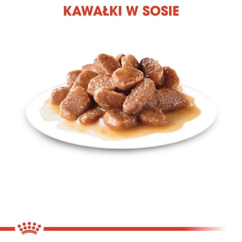 ROYAL CANIN Ageing +12 Sauce 12x85g Royal Canin ROYAL CANIN Ageing +12 Sauce 12x85g Royal Canin