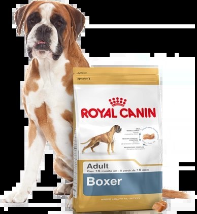 ROYAL CANIN Boxer Adult 12kg Royal Canin ROYAL CANIN Boxer Adult 12kg Royal Canin