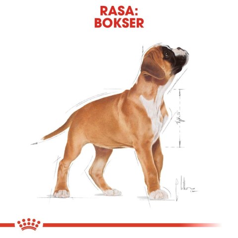 ROYAL CANIN Boxer Puppy 12kg Royal Canin ROYAL CANIN Boxer Puppy 12kg Royal Canin