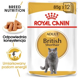 ROYAL CANIN British Shorthair Adult 12x85g Royal Canin
