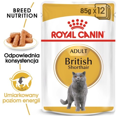 ROYAL CANIN British Shorthair Adult 12x85g Royal Canin ROYAL CANIN British Shorthair Adult 12x85g Royal Canin