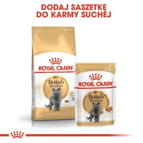 ROYAL CANIN British Shorthair Adult 12x85g Royal Canin ROYAL CANIN British Shorthair Adult 12x85g Royal Canin