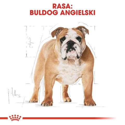 ROYAL CANIN Bulldog Adult 12kg Royal Canin ROYAL CANIN Bulldog Adult 12kg Royal Canin