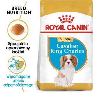 ROYAL CANIN Cavalier King Charles Spaniel Puppy 1,5kg Royal Canin