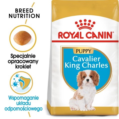 ROYAL CANIN Cavalier King Charles Spaniel Puppy 1,5kg Royal Canin ROYAL CANIN Cavalier King Charles Spaniel Puppy 1,5kg Royal Canin