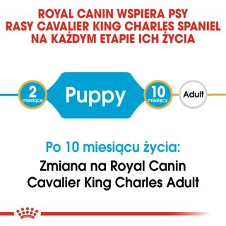 ROYAL CANIN Cavalier King Charles Spaniel Puppy 1,5kg Royal Canin