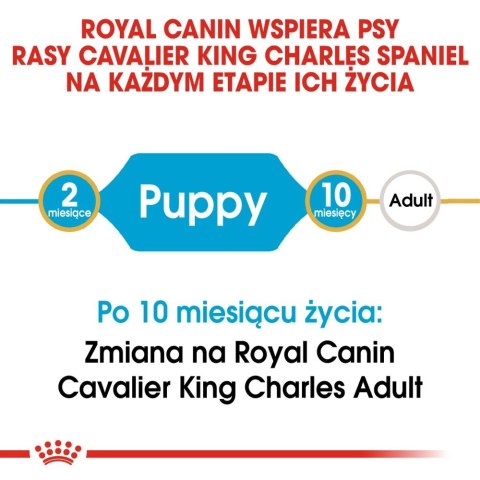 ROYAL CANIN Cavalier King Charles Spaniel Puppy 1,5kg Royal Canin ROYAL CANIN Cavalier King Charles Spaniel Puppy 1,5kg Royal Canin