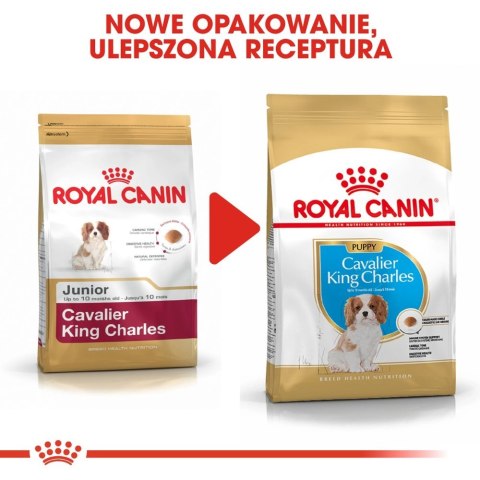 ROYAL CANIN Cavalier King Charles Spaniel Puppy 1,5kg Royal Canin ROYAL CANIN Cavalier King Charles Spaniel Puppy 1,5kg Royal Canin